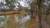 upstream,  Off Murray River, Mildura