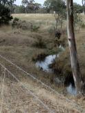 water in channel 500m north of Stewrtas Lane, not flowing