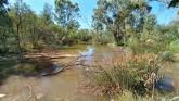 Sandilong Creek, ex Murray River, Mildura
