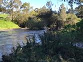 Much calmer a few meters downstream