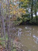 Five mile Creek at Children's Park Upstream