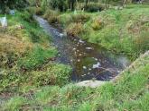 19th August 2022 to compare with 21st December. Water clean and flowing well.