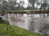 Photo taken to show how fast the river was running with Cairn Curran Gates open