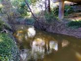 View upstream under bridge