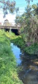 Stony Creek MSO670 upstream