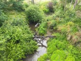 View downstream from bridge
