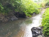 View downstream under bridge