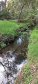 Stony Creek, Cruikshank Park downstream