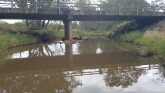 taken on 5-02-2024, looking downstream at debris on bridge