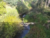 View downstream from bridge