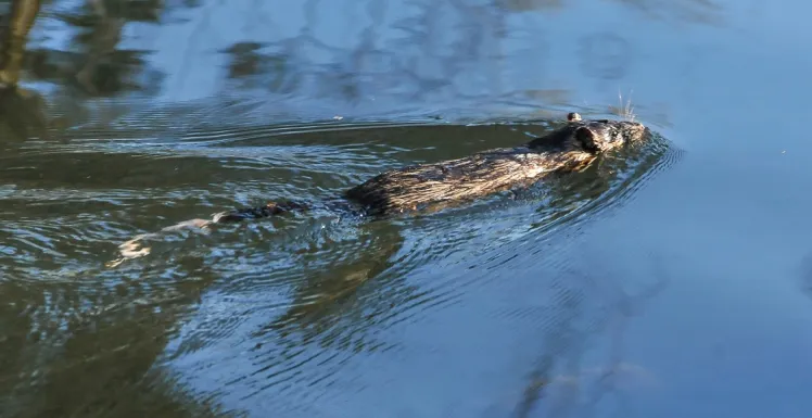 Rikali Photo By James Pettit