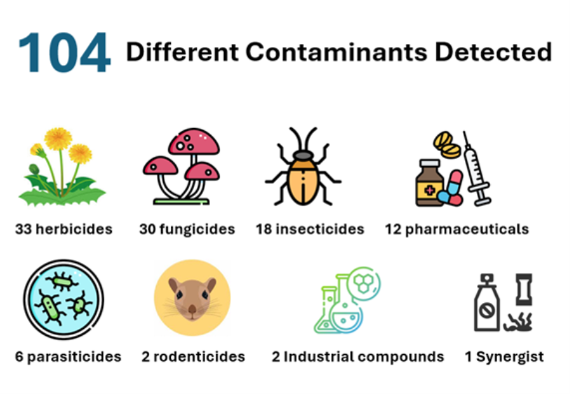 Unseen Threats Info Graphic